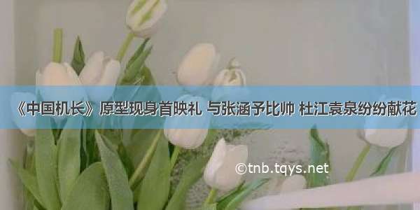 《中国机长》原型现身首映礼 与张涵予比帅 杜江袁泉纷纷献花