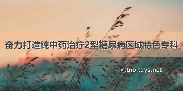 奋力打造纯中药治疗2型糖尿病区域特色专科