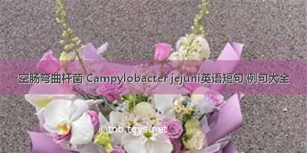 空肠弯曲杆菌 Campylobacter jejuni英语短句 例句大全