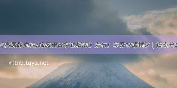 《高尿酸血症/痛风患者实践指南》发布！涉及17项建议 | 指南分享