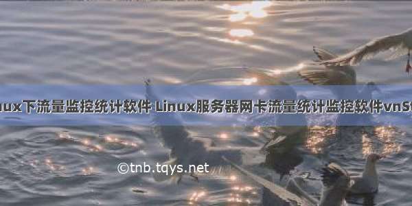 linux下流量监控统计软件 Linux服务器网卡流量统计监控软件vnStat