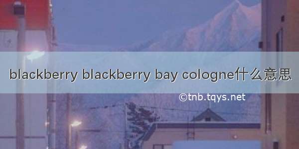 blackberry blackberry bay cologne什么意思