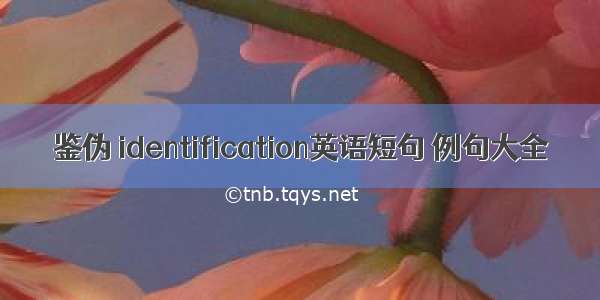 鉴伪 identification英语短句 例句大全