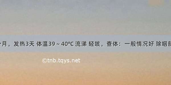 患儿 7个月。发热3天 体温39～40℃ 流涕 轻咳。查体：一般情况好 除咽部充血外 