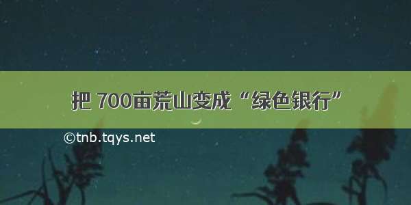 把 700亩荒山变成“绿色银行”