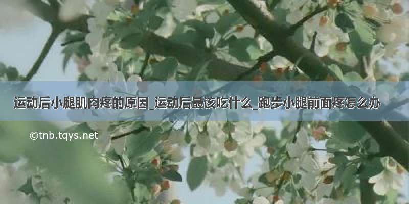 运动后小腿肌肉疼的原因_运动后最该吃什么_跑步小腿前面疼怎么办