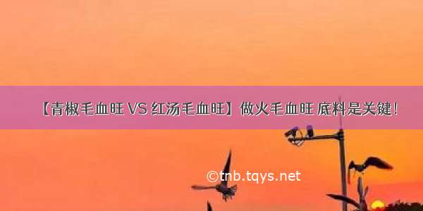 【青椒毛血旺 VS 红汤毛血旺】做火毛血旺 底料是关键！