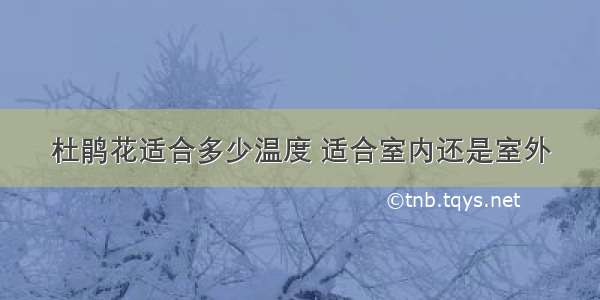 杜鹃花适合多少温度 适合室内还是室外