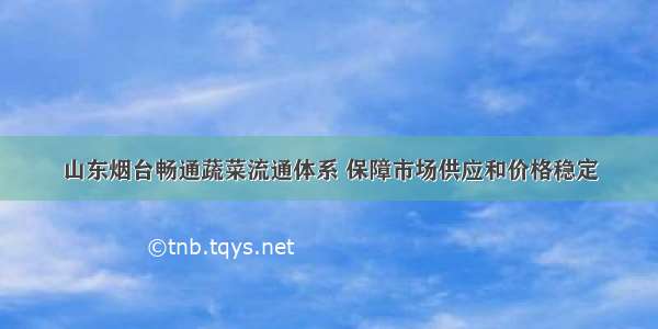 山东烟台畅通蔬菜流通体系 保障市场供应和价格稳定