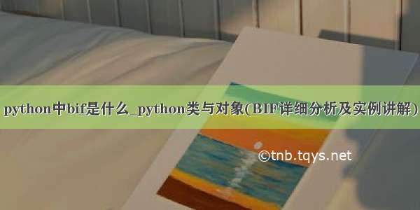 python中bif是什么_python类与对象(BIF详细分析及实例讲解)