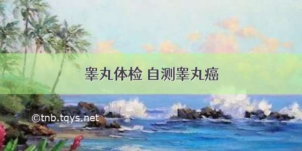 睾丸体检 自测睾丸癌