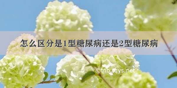 怎么区分是1型糖尿病还是2型糖尿病