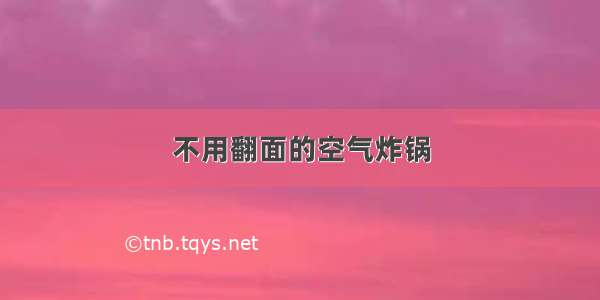 不用翻面的空气炸锅