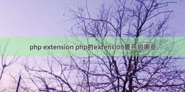 php extension php的extension要开启哪些