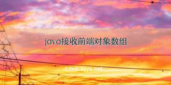 java接收前端对象数组