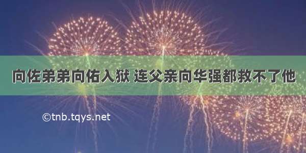 向佐弟弟向佑入狱 连父亲向华强都救不了他