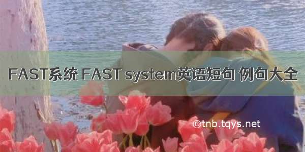 FAST系统 FAST system英语短句 例句大全