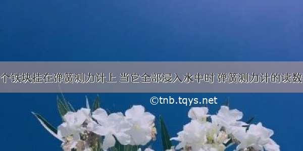 单选题把一个铁块挂在弹簧测力计上 当它全部浸入水中时 弹簧测力计的读数表示是A.铁