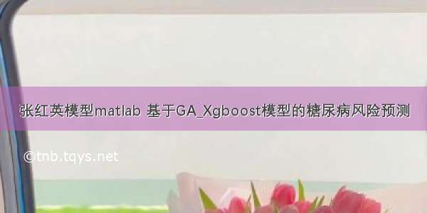 张红英模型matlab 基于GA_Xgboost模型的糖尿病风险预测