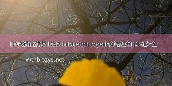 DNA错配修复 DNA mismatch repair英语短句 例句大全