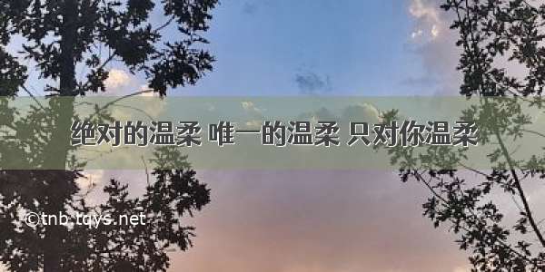 绝对的温柔 唯一的温柔 只对你温柔