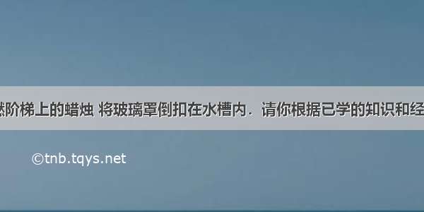 如右图 点燃阶梯上的蜡烛 将玻璃罩倒扣在水槽内．请你根据已学的知识和经验做出如下