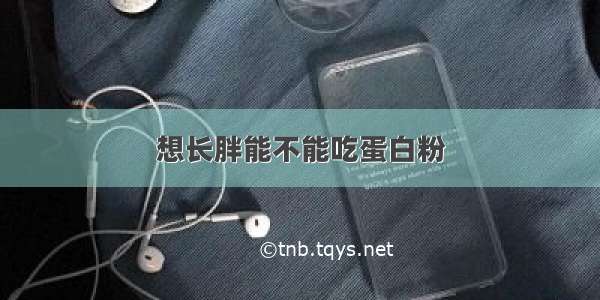 想长胖能不能吃蛋白粉