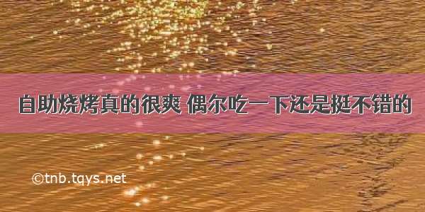 自助烧烤真的很爽 偶尔吃一下还是挺不错的