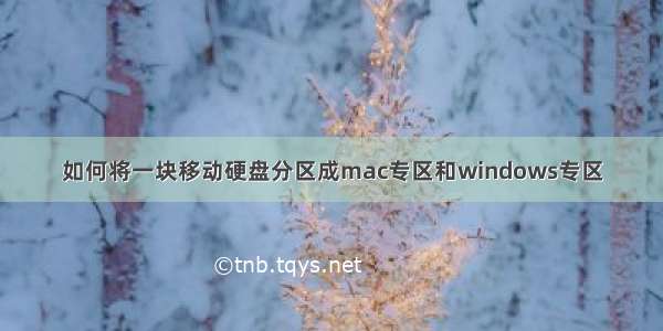 如何将一块移动硬盘分区成mac专区和windows专区