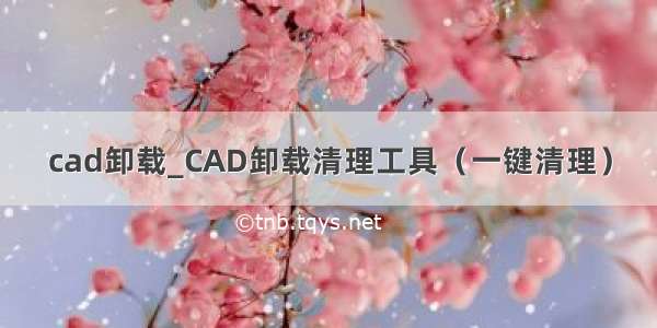 cad卸载_CAD卸载清理工具（一键清理）