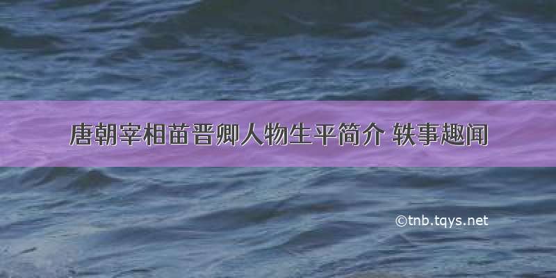 唐朝宰相苗晋卿人物生平简介 轶事趣闻