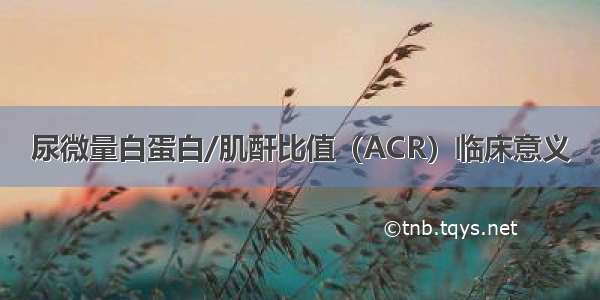 尿微量白蛋白/肌酐比值（ACR）临床意义