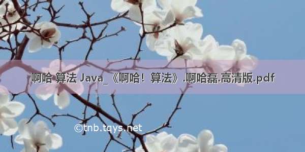 啊哈 算法 Java_《啊哈！算法》.啊哈磊.高清版.pdf