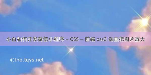 小白如何开发微信小程序 – CSS – 前端 css3 动画把图片放大