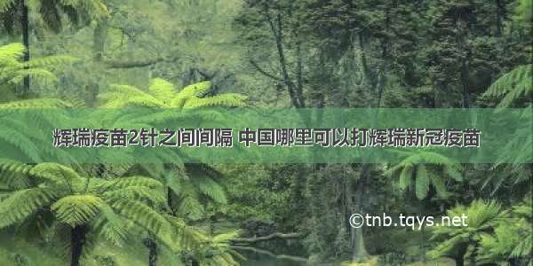 辉瑞疫苗2针之间间隔 中国哪里可以打辉瑞新冠疫苗