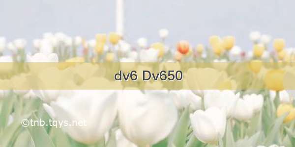 dv6 Dv650