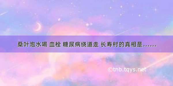 桑叶泡水喝 血栓 糖尿病绕道走 长寿村的真相是……