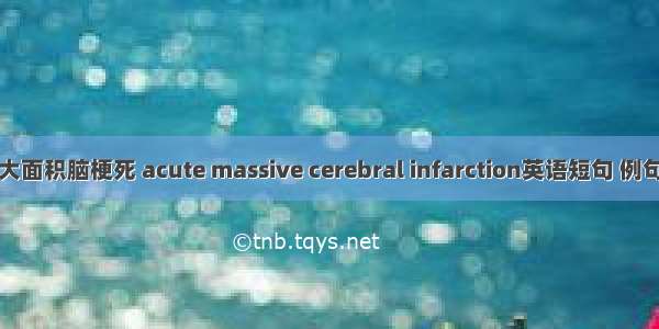 急性大面积脑梗死 acute massive cerebral infarction英语短句 例句大全