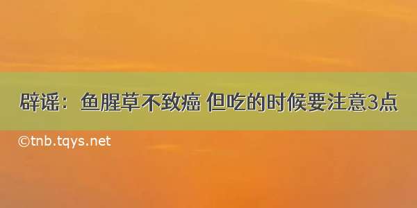 辟谣：鱼腥草不致癌 但吃的时候要注意3点