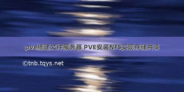 pve搭建文件服务器 PVE安装NFS实现存储共享