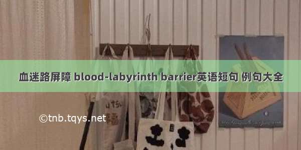 血迷路屏障 blood-labyrinth barrier英语短句 例句大全