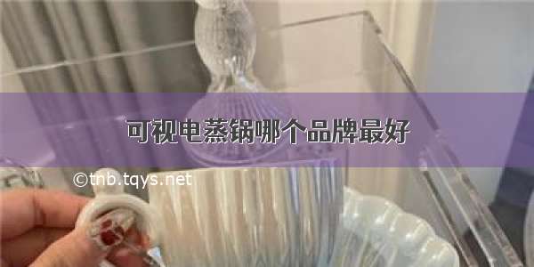 可视电蒸锅哪个品牌最好