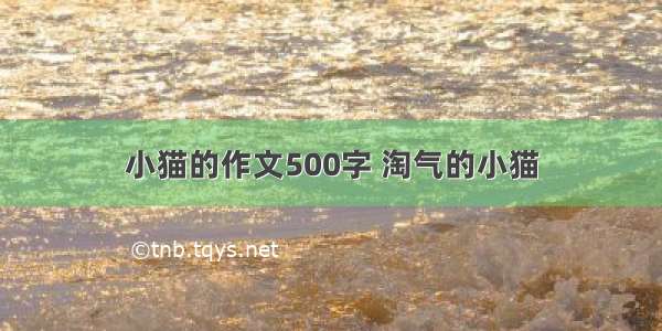 小猫的作文500字 淘气的小猫