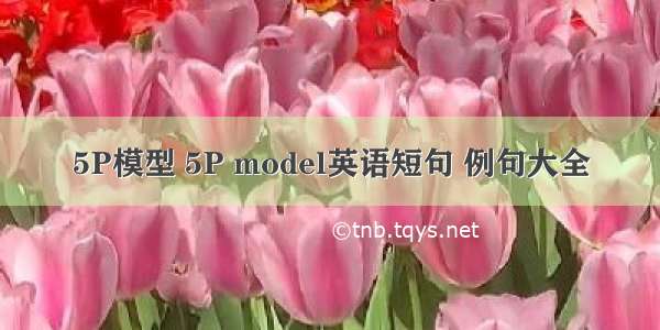 5P模型 5P model英语短句 例句大全