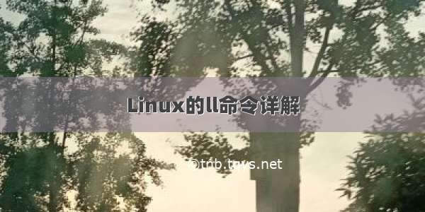 Linux的ll命令详解