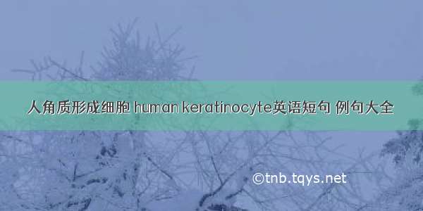 人角质形成细胞 human keratinocyte英语短句 例句大全