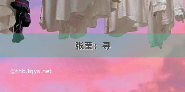 张莹：寻