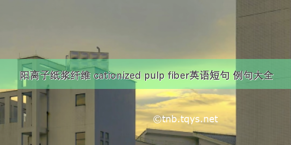 阳离子纸浆纤维 cationized pulp fiber英语短句 例句大全