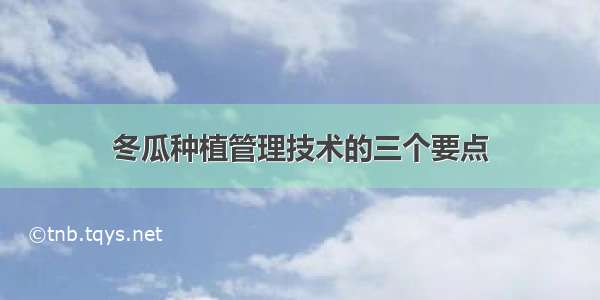 冬瓜种植管理技术的三个要点