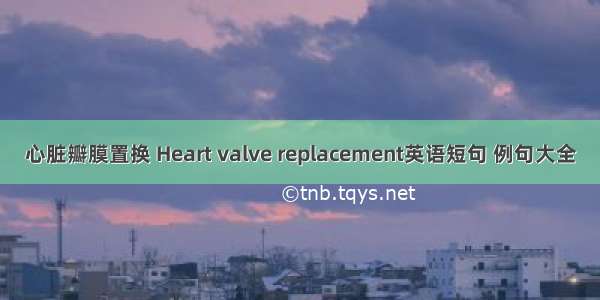 心脏瓣膜置换 Heart valve replacement英语短句 例句大全